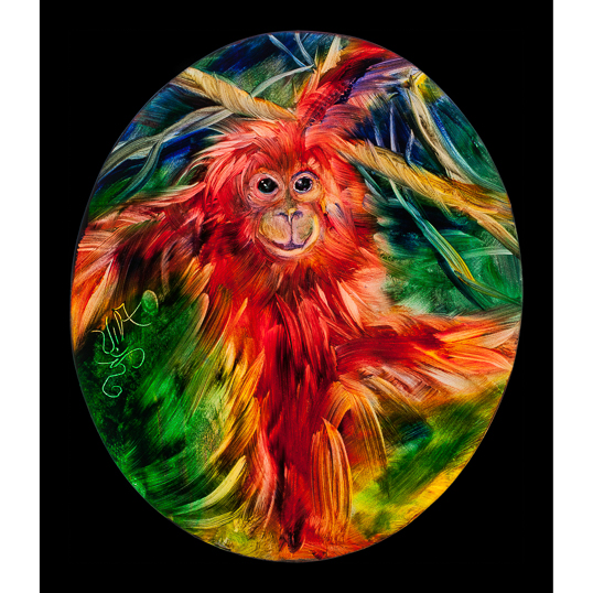 Orangutan - 6