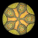 Fern – Green: Chandelier