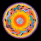 Horses – Golden: Chandelier