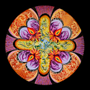 Ibis – Wine: Chandelier