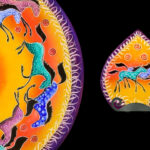 Horses – Sunset: Nightlight