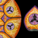 Madame Butterfly – Gold: Nightlights